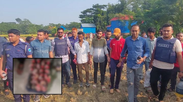 ফরিদপুরে প্রবাসীর বাড়ি থেকে হাতবোমা ও সরঞ্জাম উদ্ধার, আটক ৩